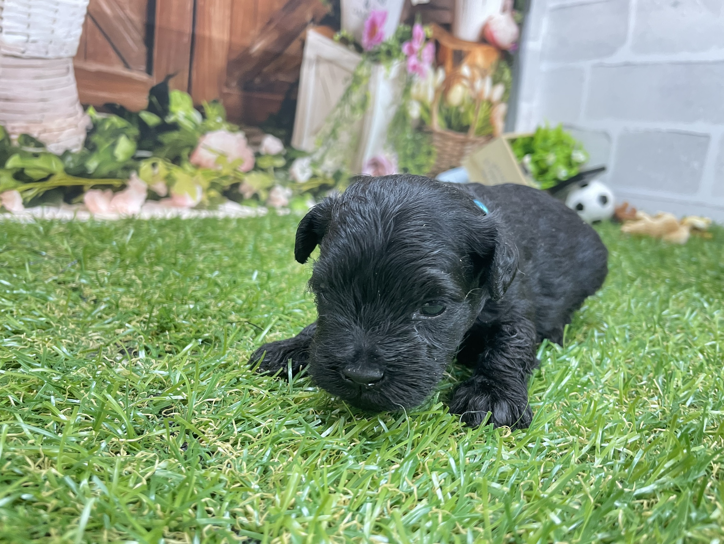 赤ちゃん写真2-2