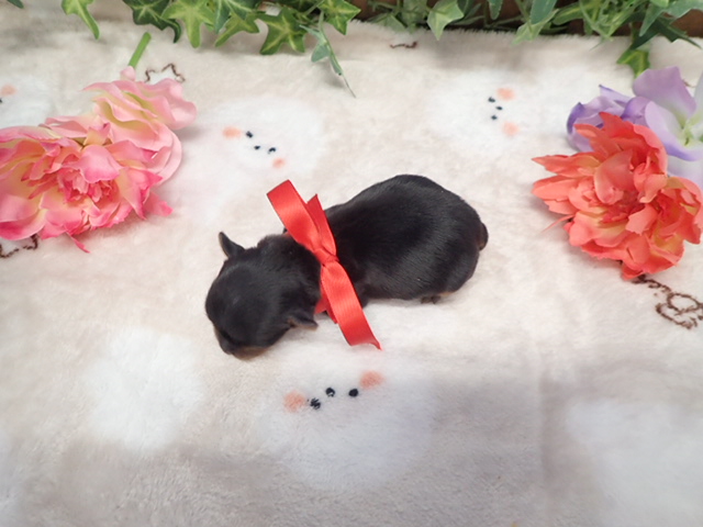 赤ちゃん写真1-3