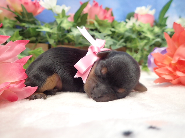 赤ちゃん写真1-1