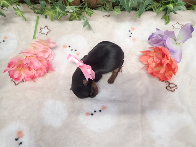 赤ちゃん写真1-3