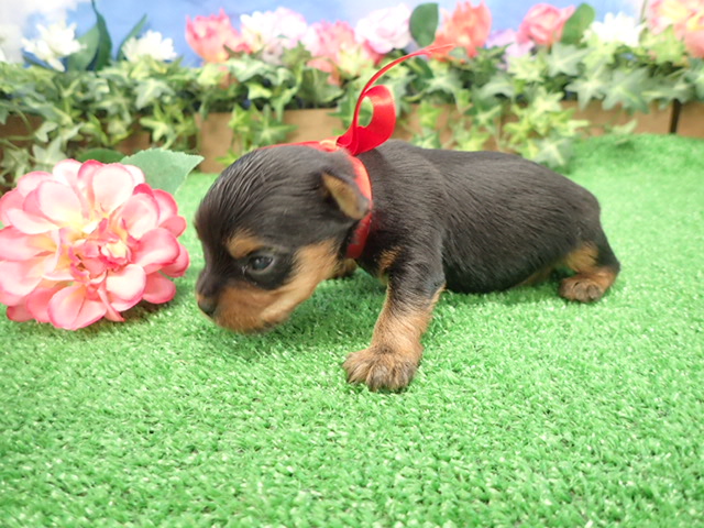 赤ちゃん写真2-2