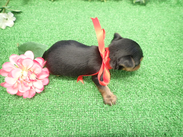 赤ちゃん写真2-3