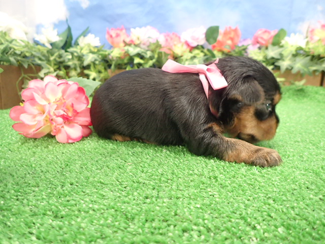 赤ちゃん写真2-2