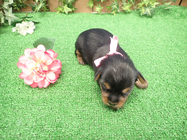 赤ちゃん写真2-3