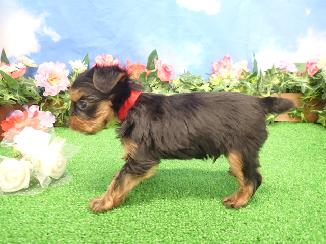 赤ちゃん写真3-2