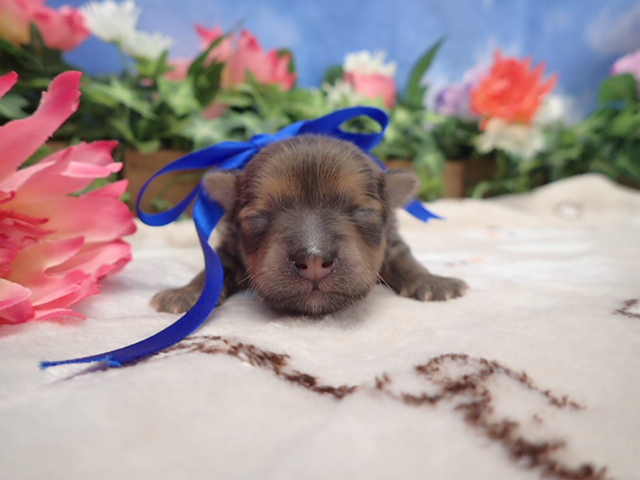 赤ちゃん写真1-1