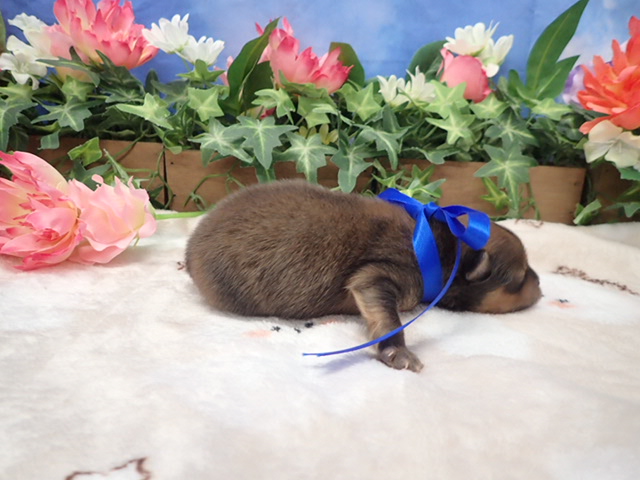 赤ちゃん写真1-2