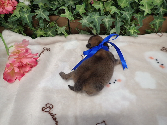 赤ちゃん写真1-3