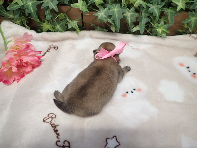 赤ちゃん写真1-3