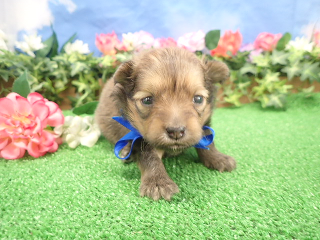 赤ちゃん写真2-1