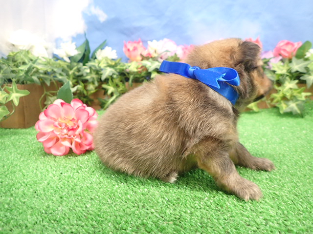 赤ちゃん写真2-2