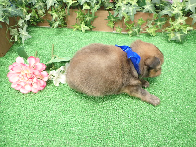 赤ちゃん写真2-3