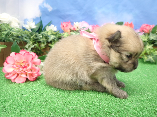 赤ちゃん写真2-2