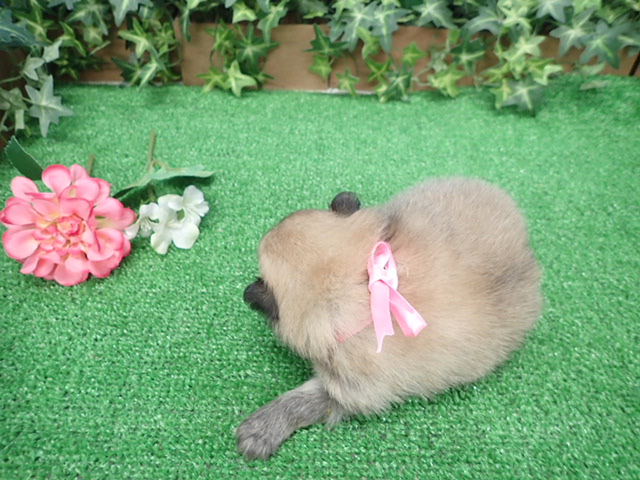 赤ちゃん写真2-3