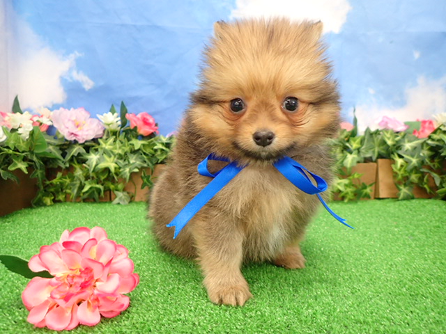 赤ちゃん写真3-1