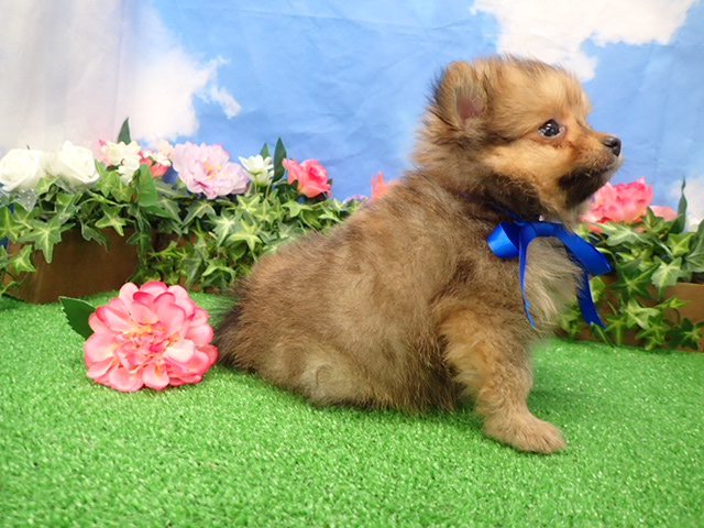 赤ちゃん写真3-2