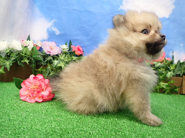 赤ちゃん写真3-2