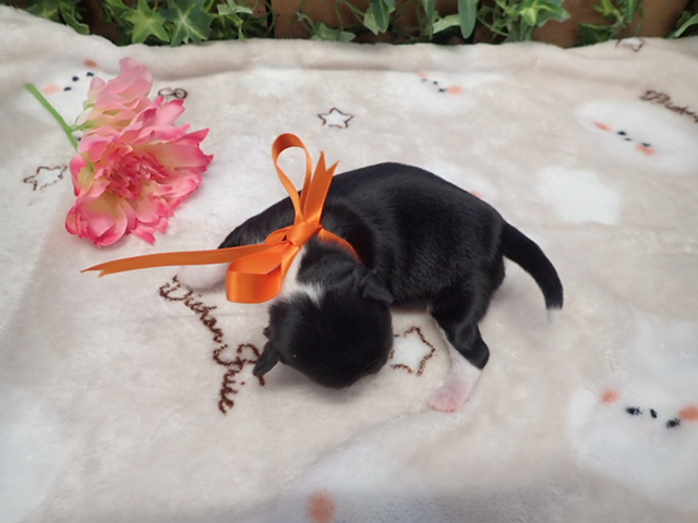 赤ちゃん写真1-3