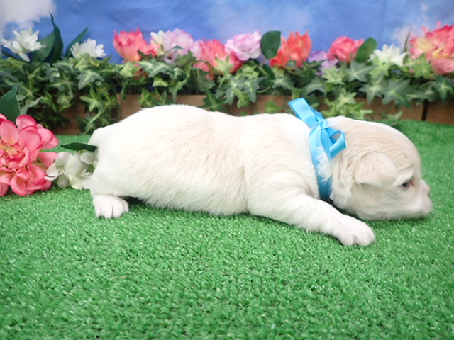 赤ちゃん写真2-2