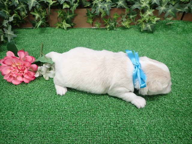 赤ちゃん写真2-3