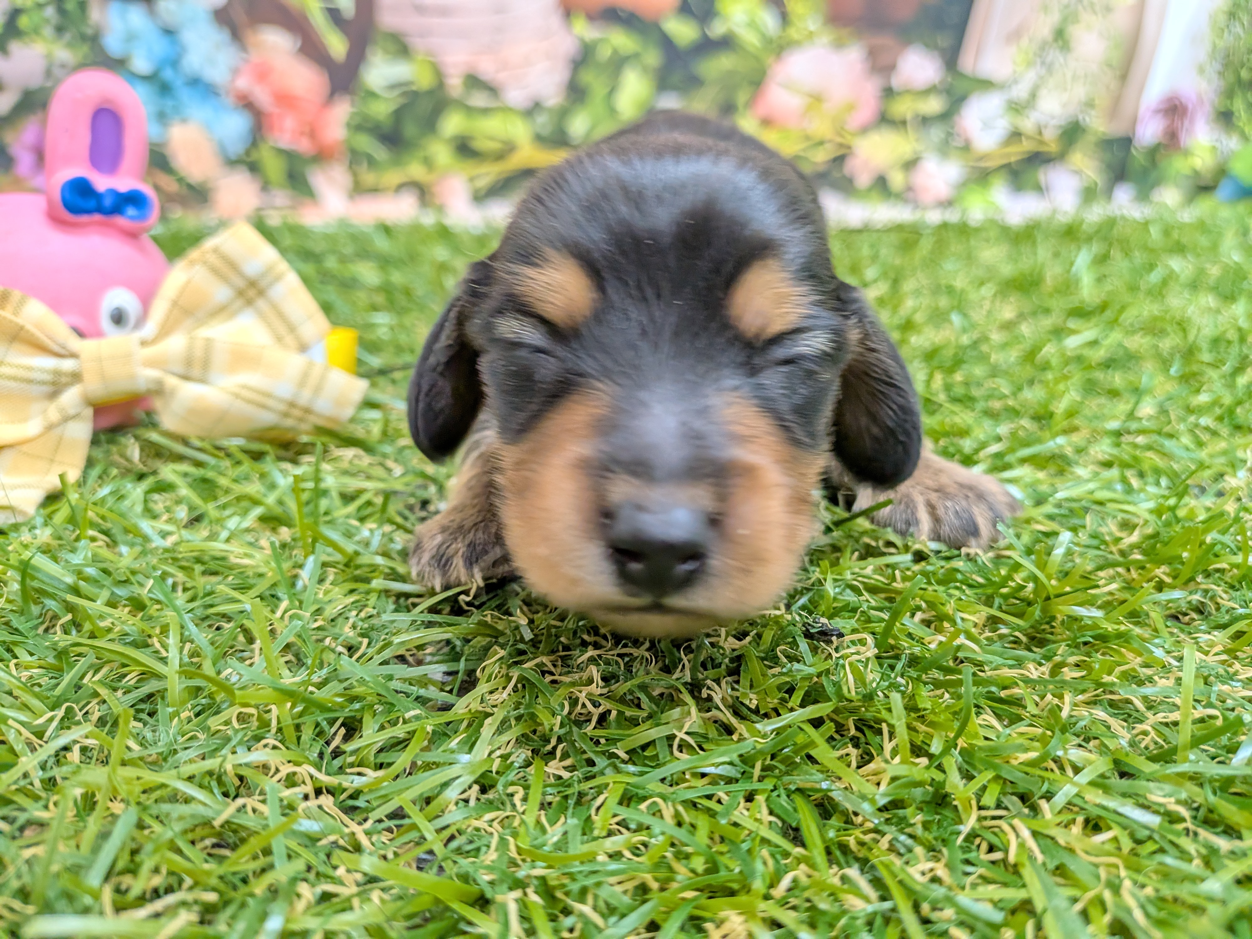 赤ちゃん写真1-1