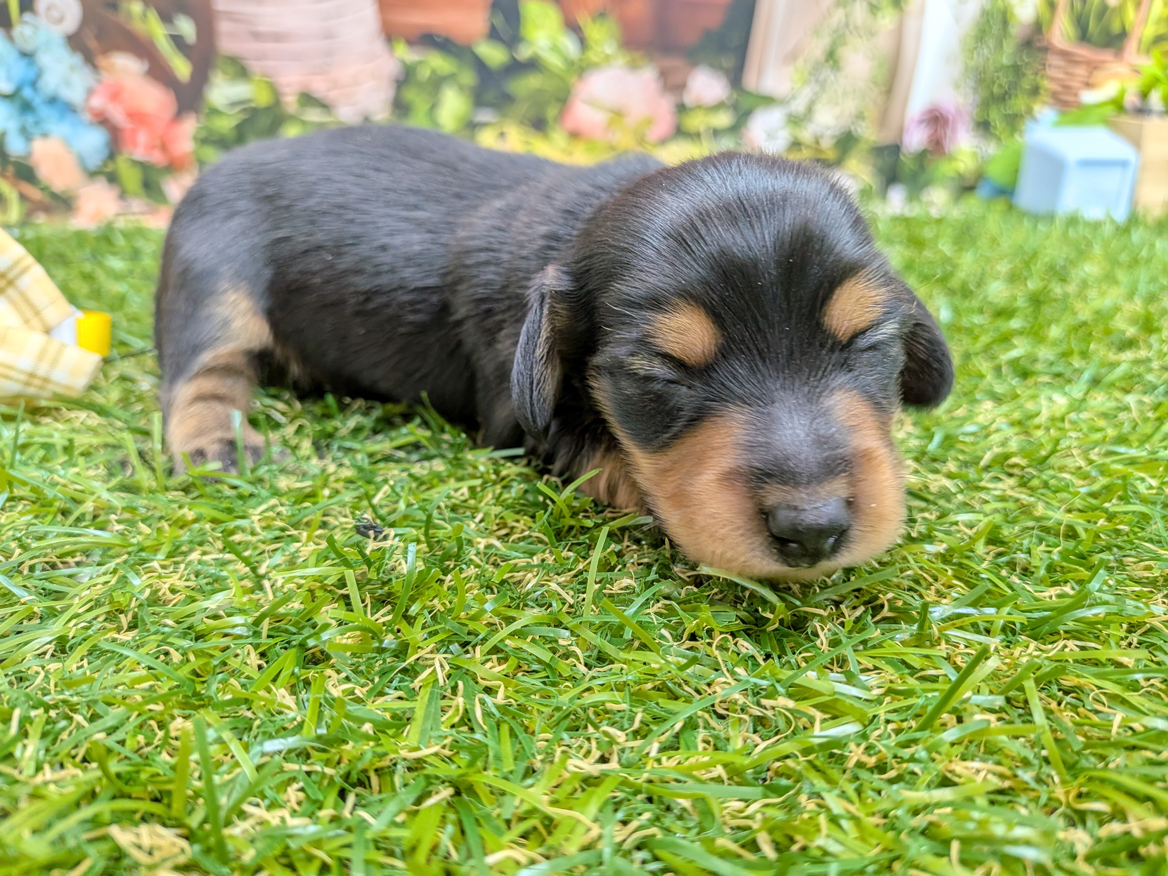 赤ちゃん写真1-2