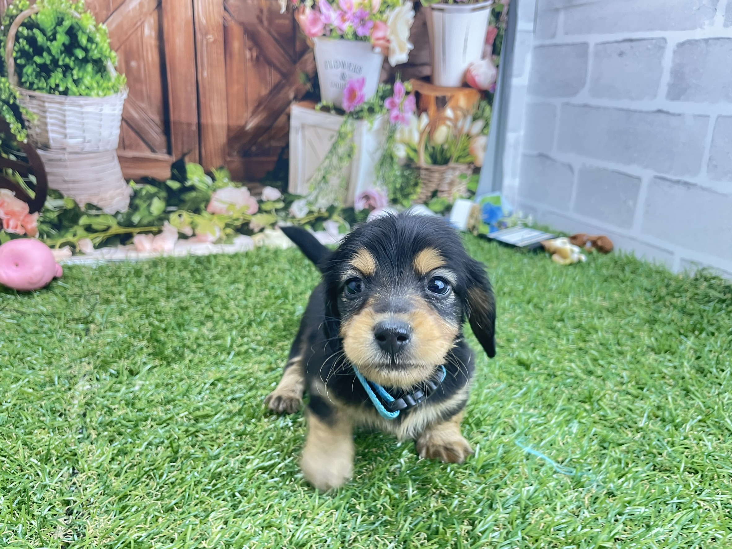 赤ちゃん写真2-1