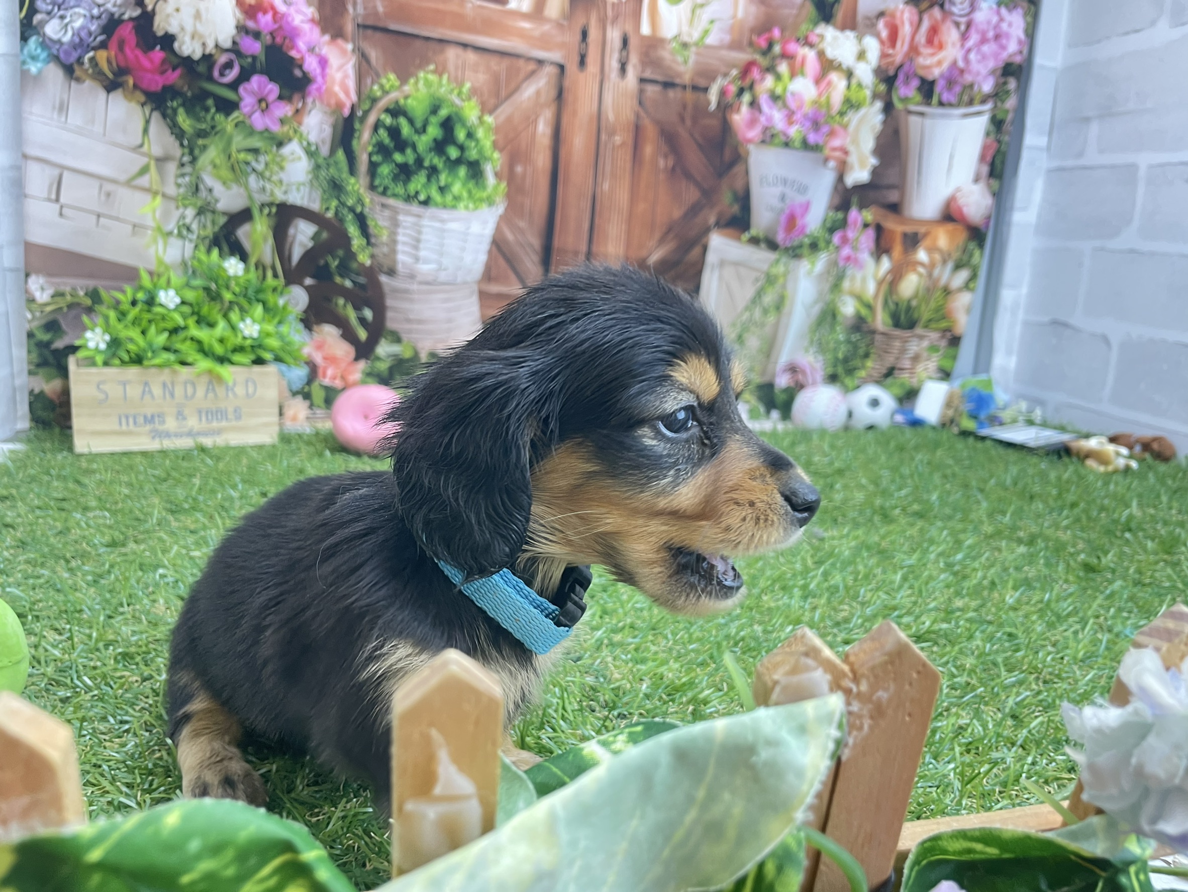 赤ちゃん写真2-2