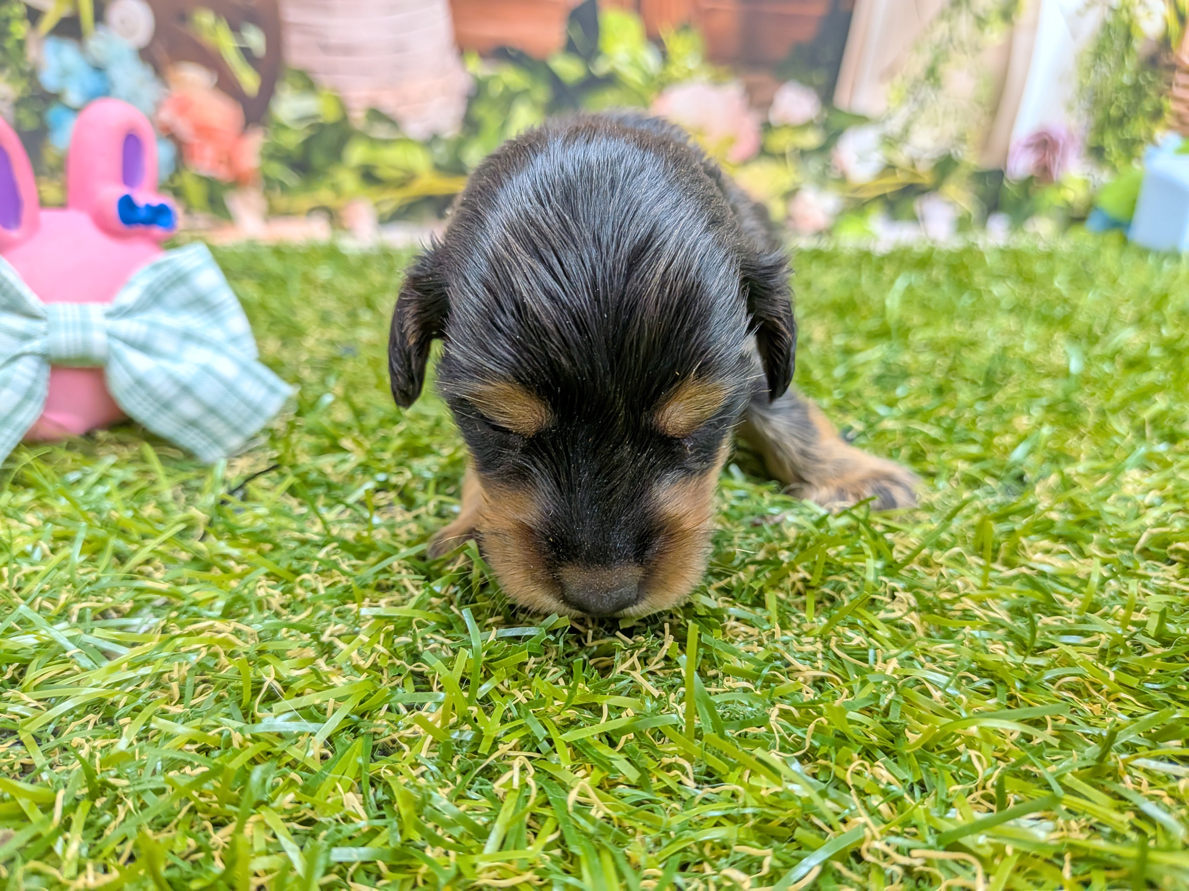 赤ちゃん写真1-1