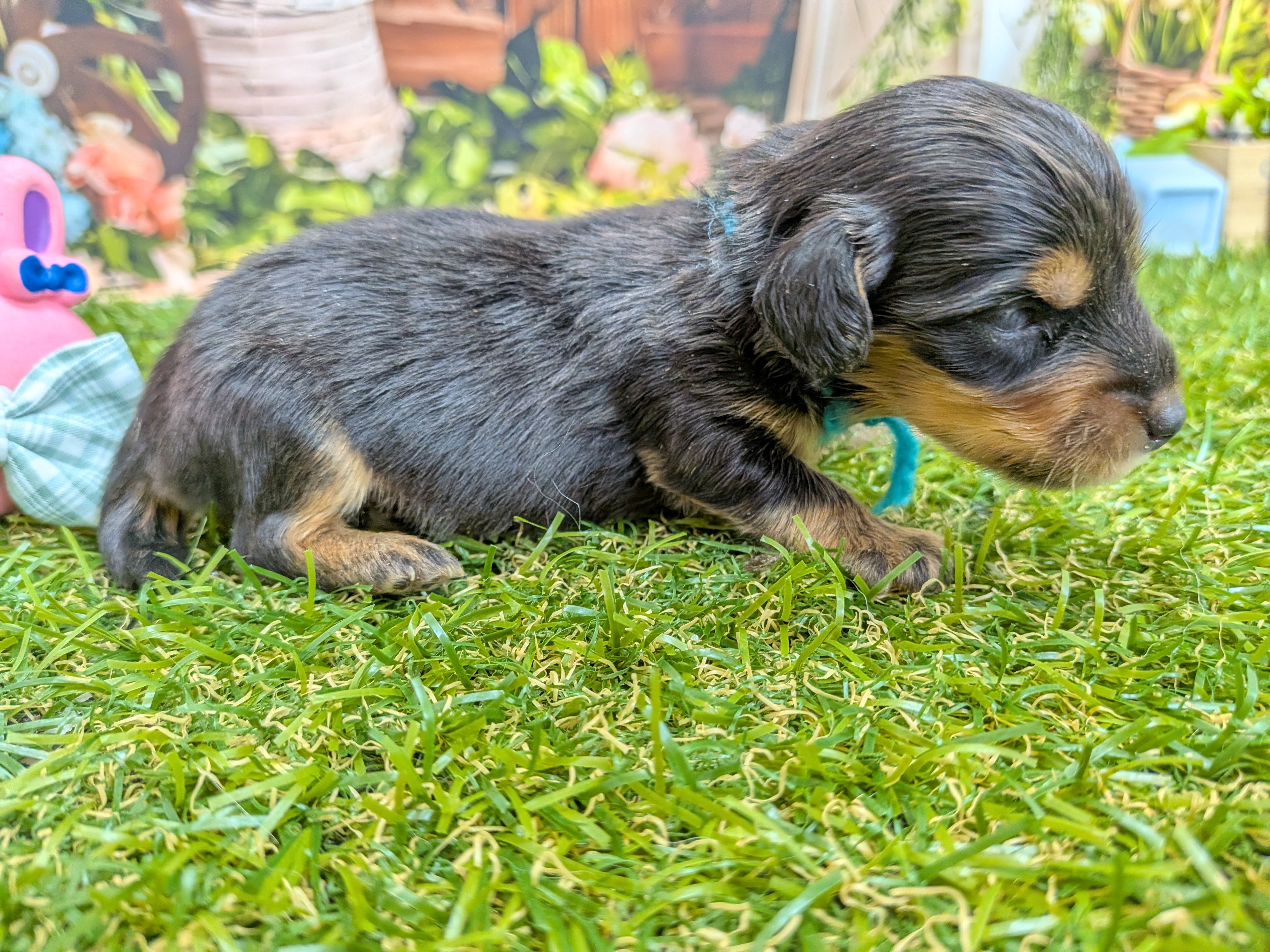 赤ちゃん写真1-2