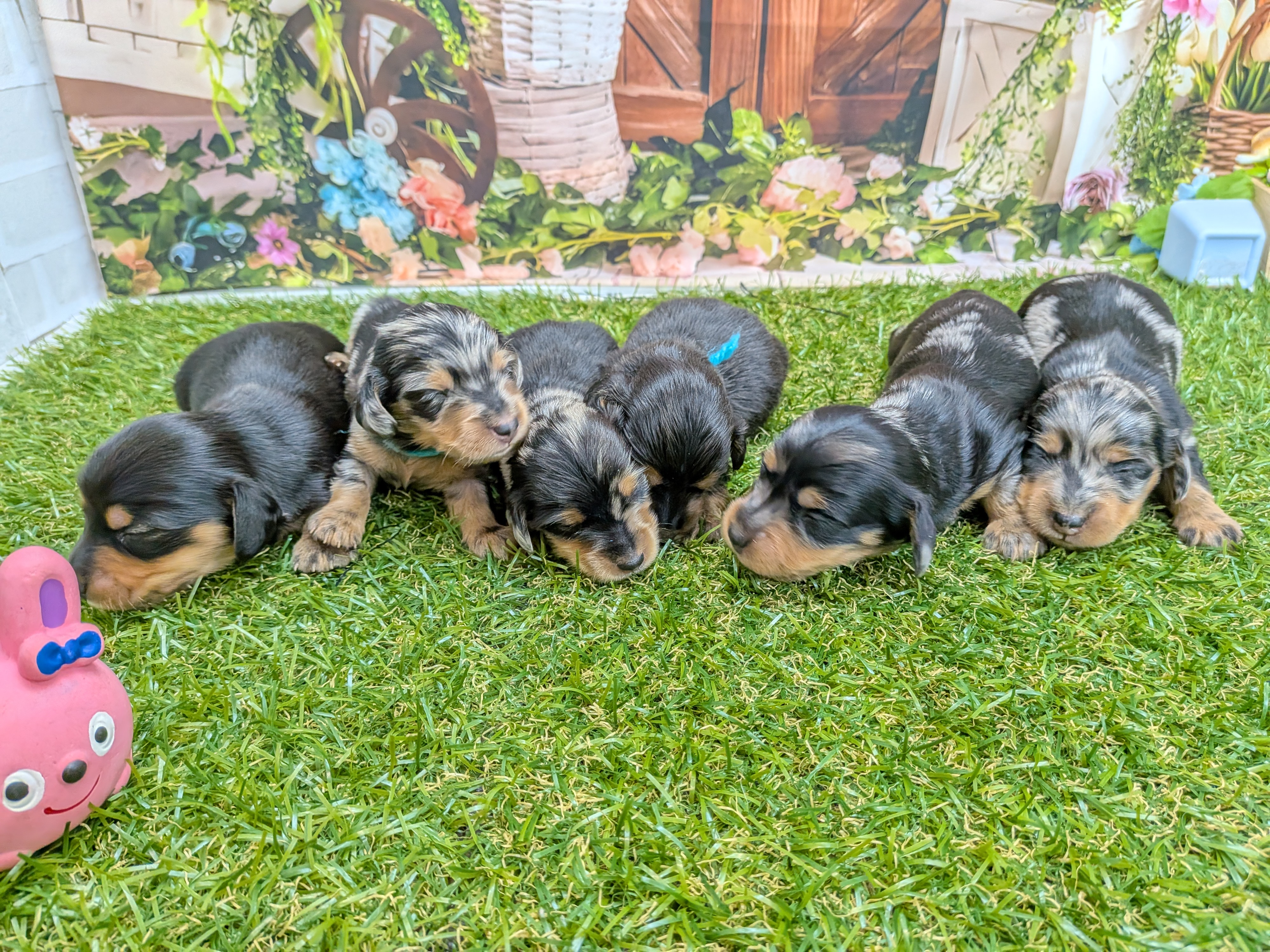 赤ちゃん写真1-3