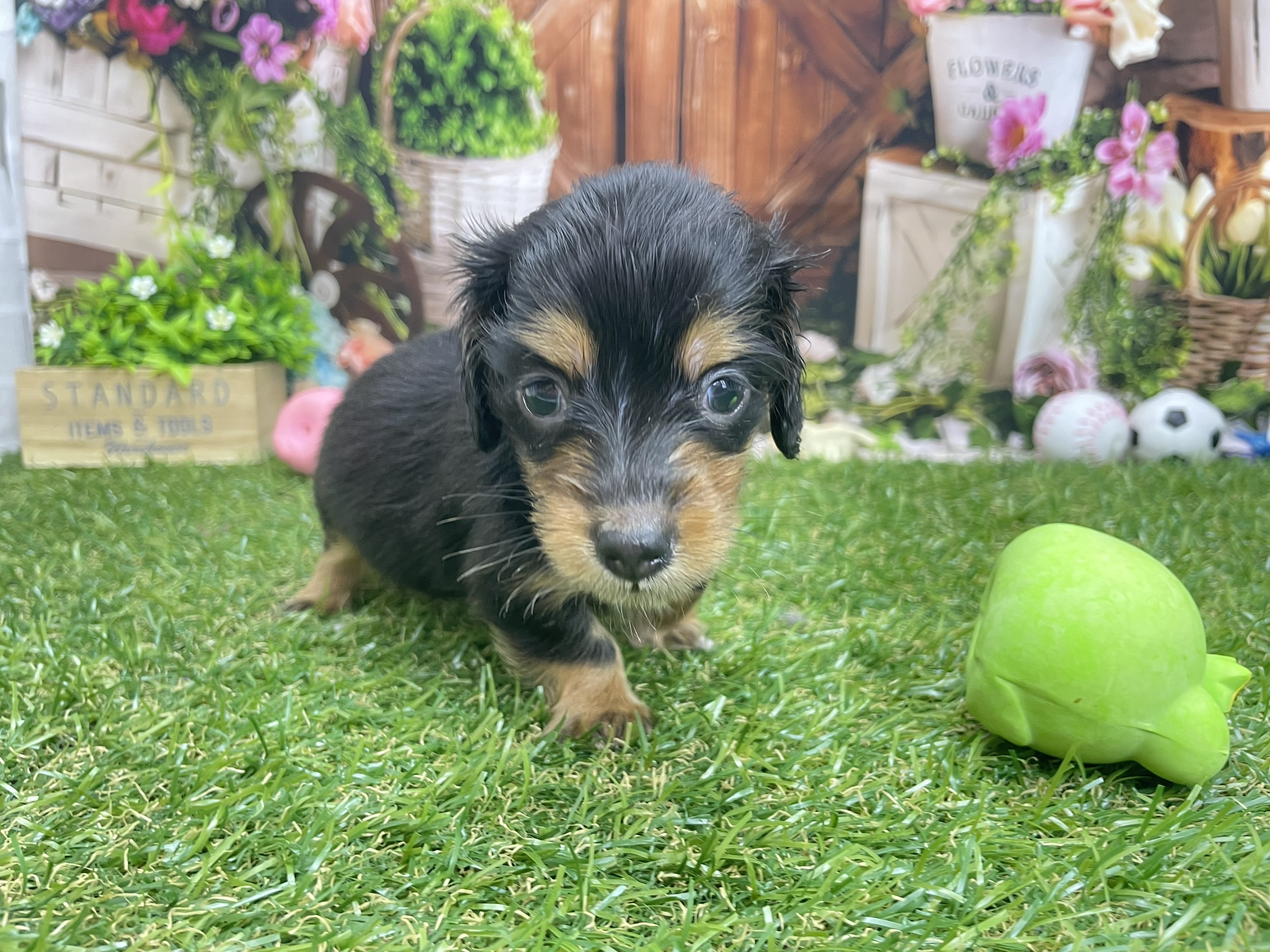 赤ちゃん写真2-1