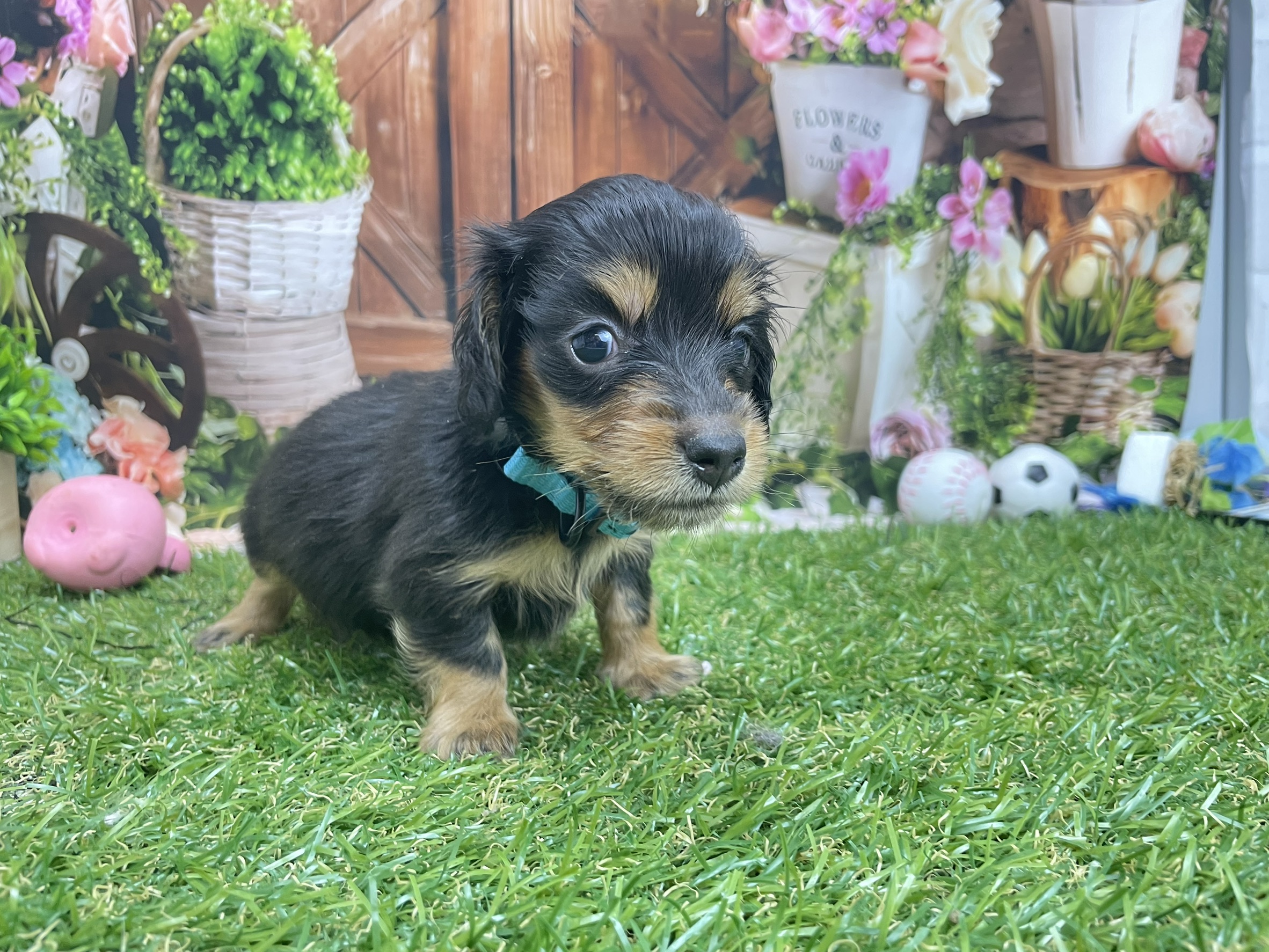 赤ちゃん写真2-2