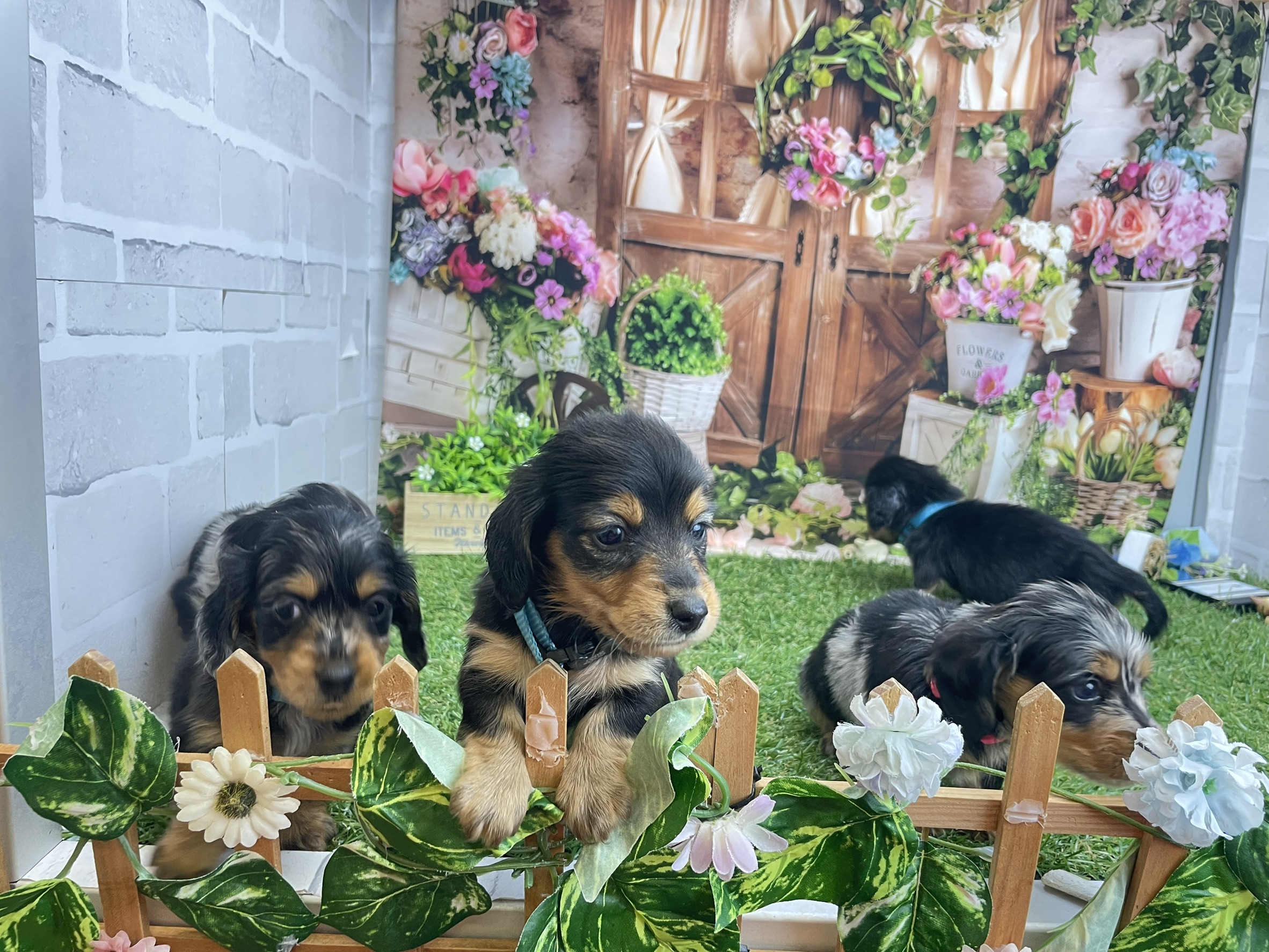 赤ちゃん写真2-3