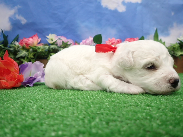 赤ちゃん写真2-2