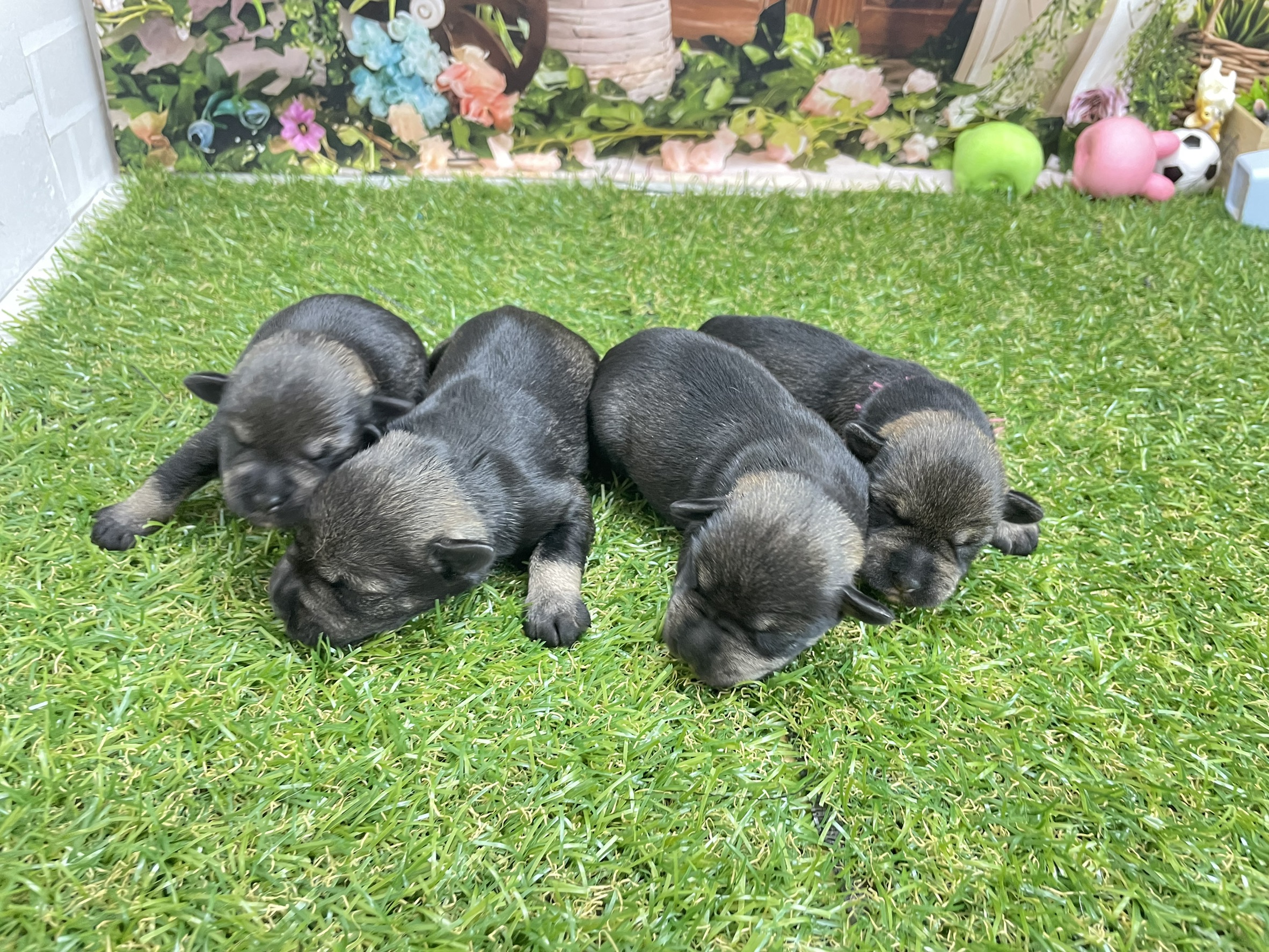 赤ちゃん写真1-3