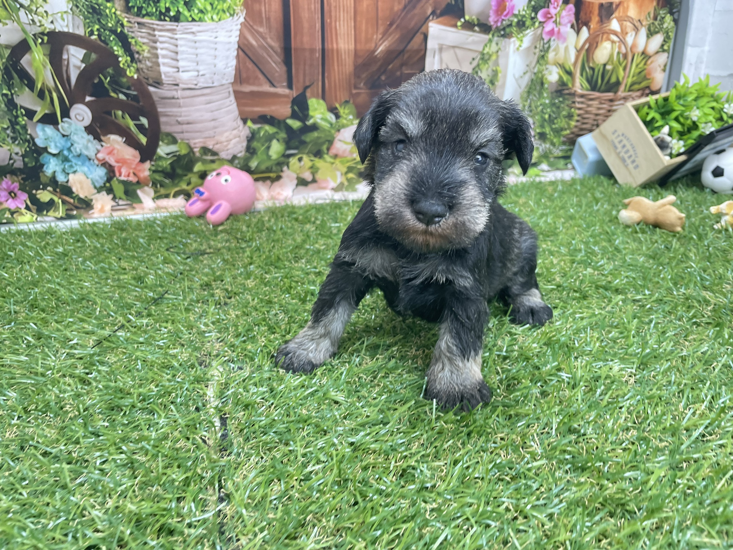 赤ちゃん写真2-1