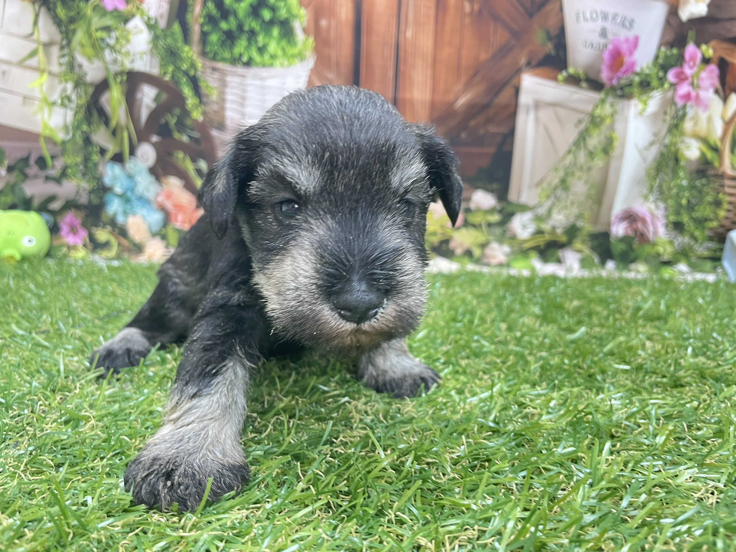 赤ちゃん写真2-2