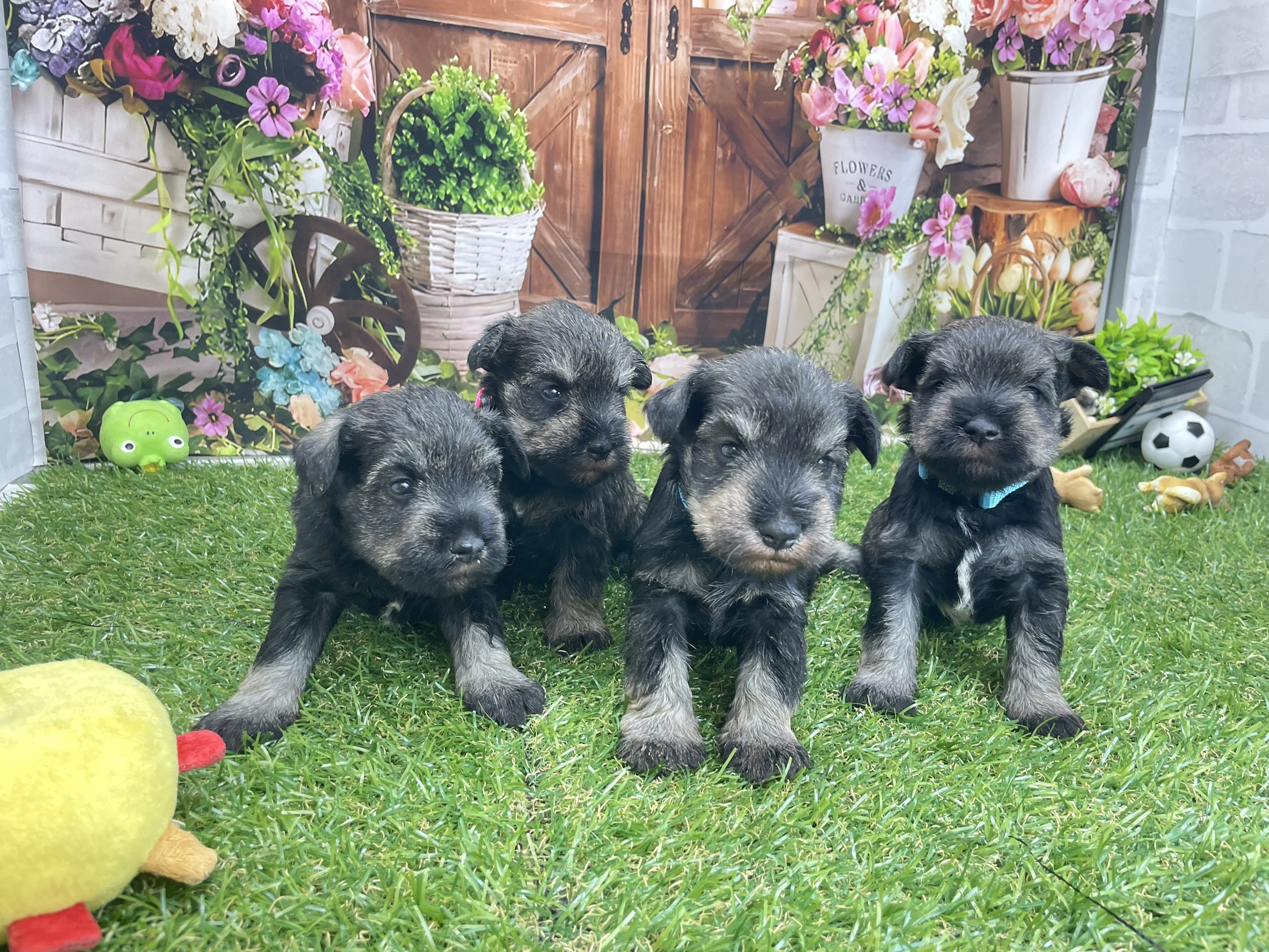 赤ちゃん写真2-3