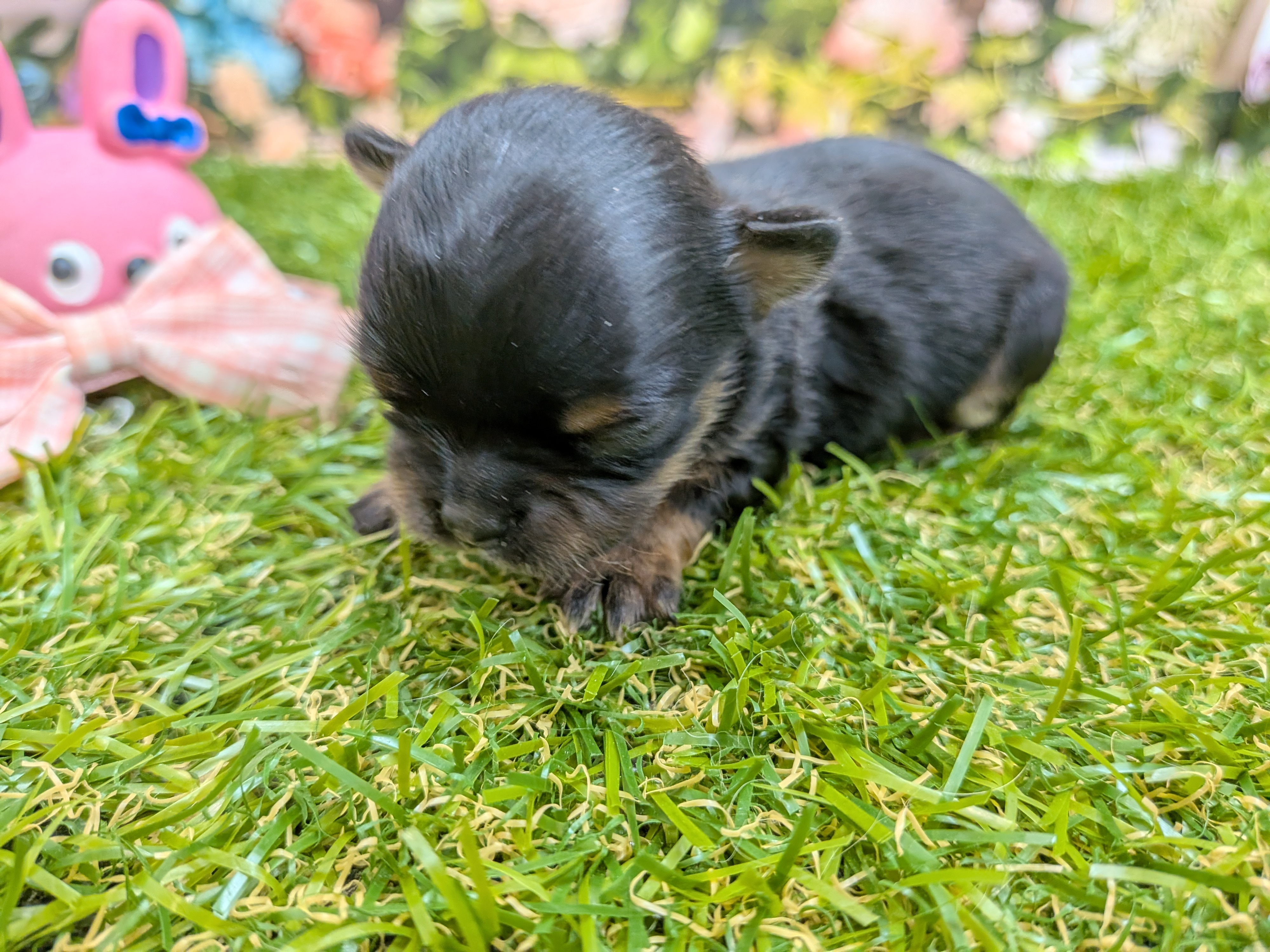赤ちゃん写真1-1
