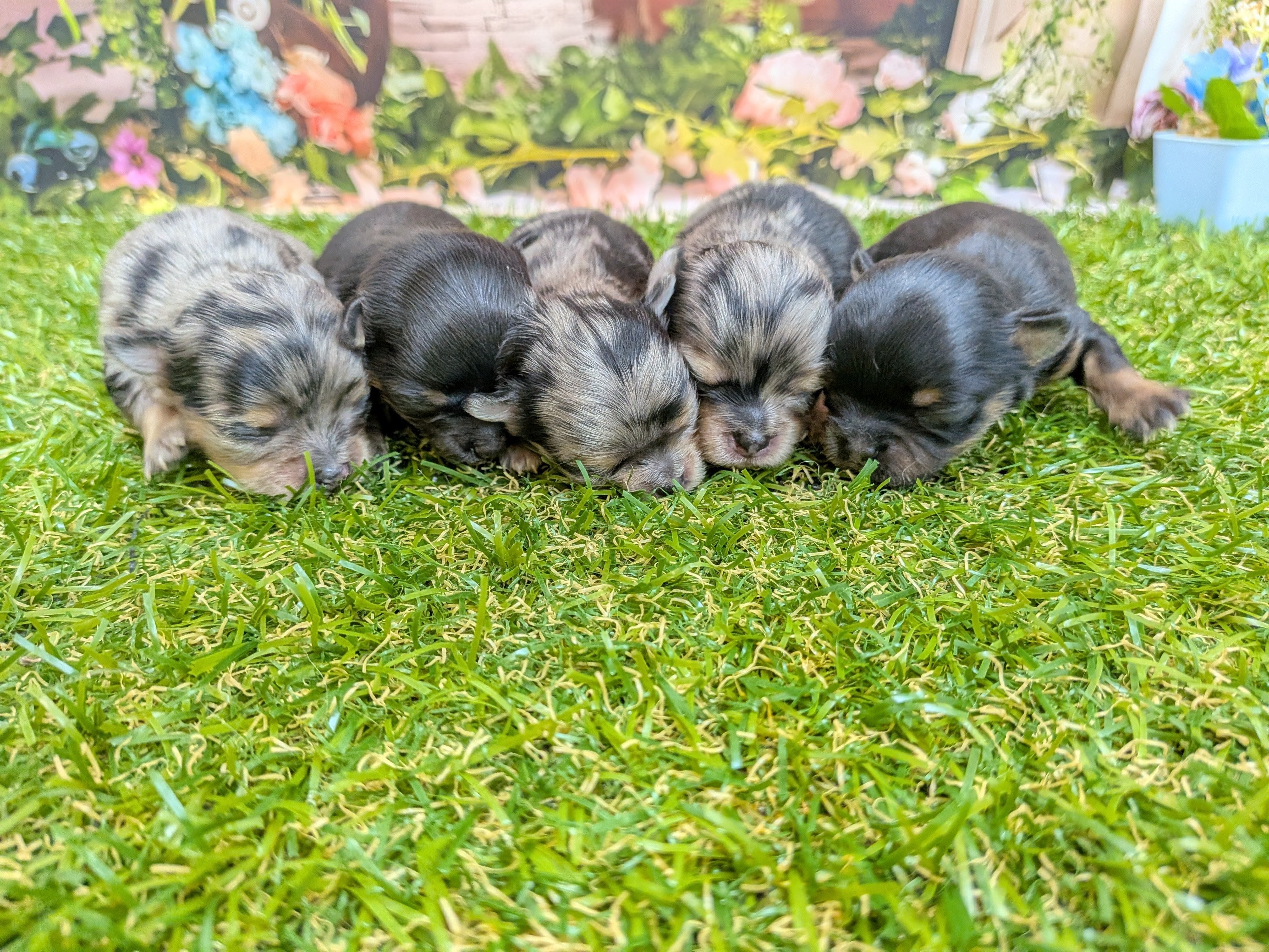 赤ちゃん写真1-3