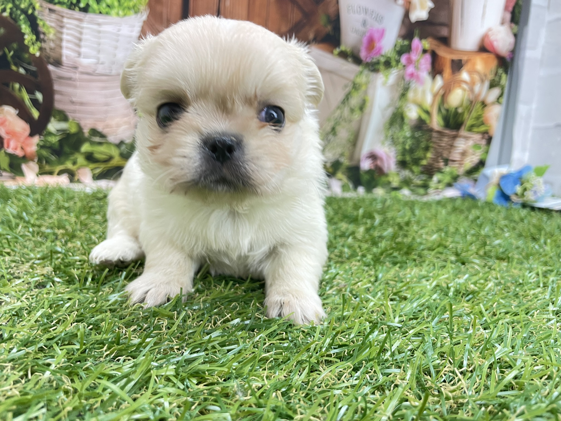 赤ちゃん写真2-1