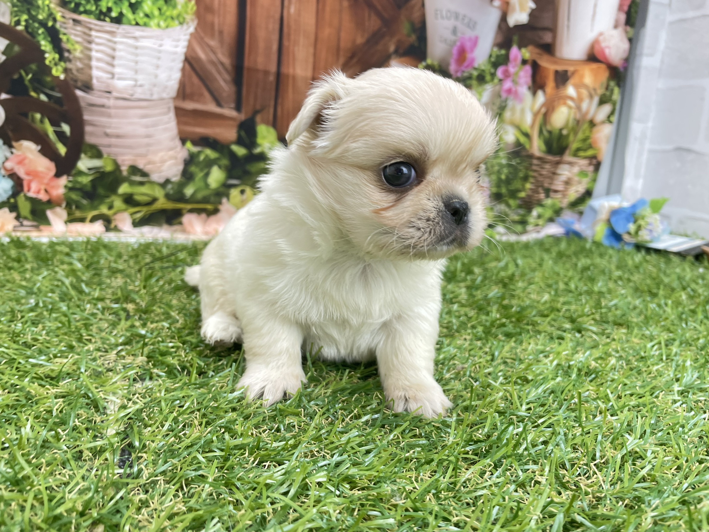 赤ちゃん写真2-2