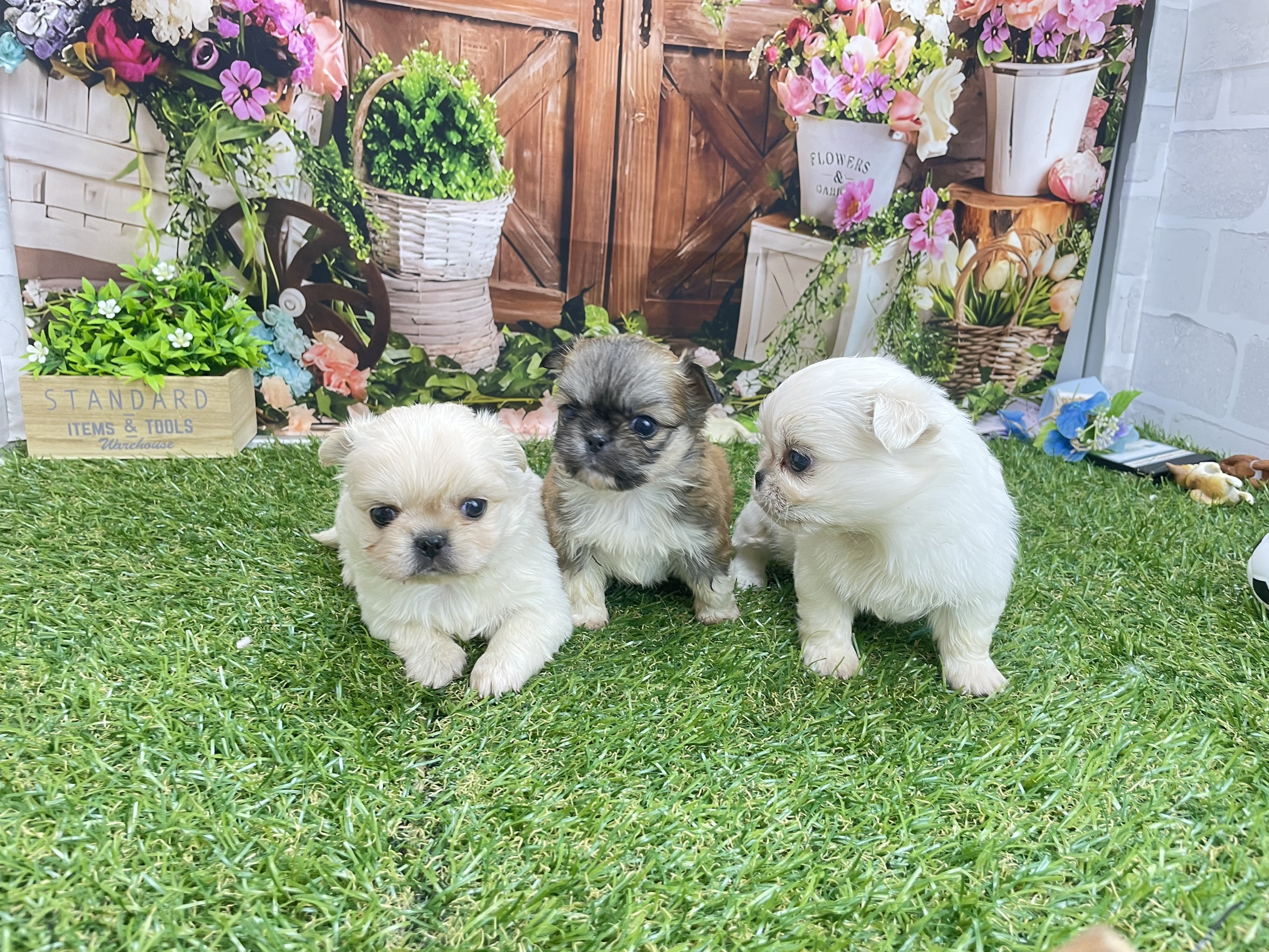 赤ちゃん写真2-3