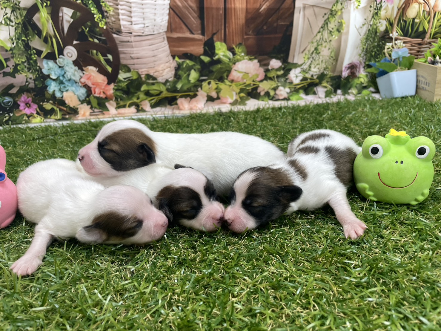 赤ちゃん写真1-3