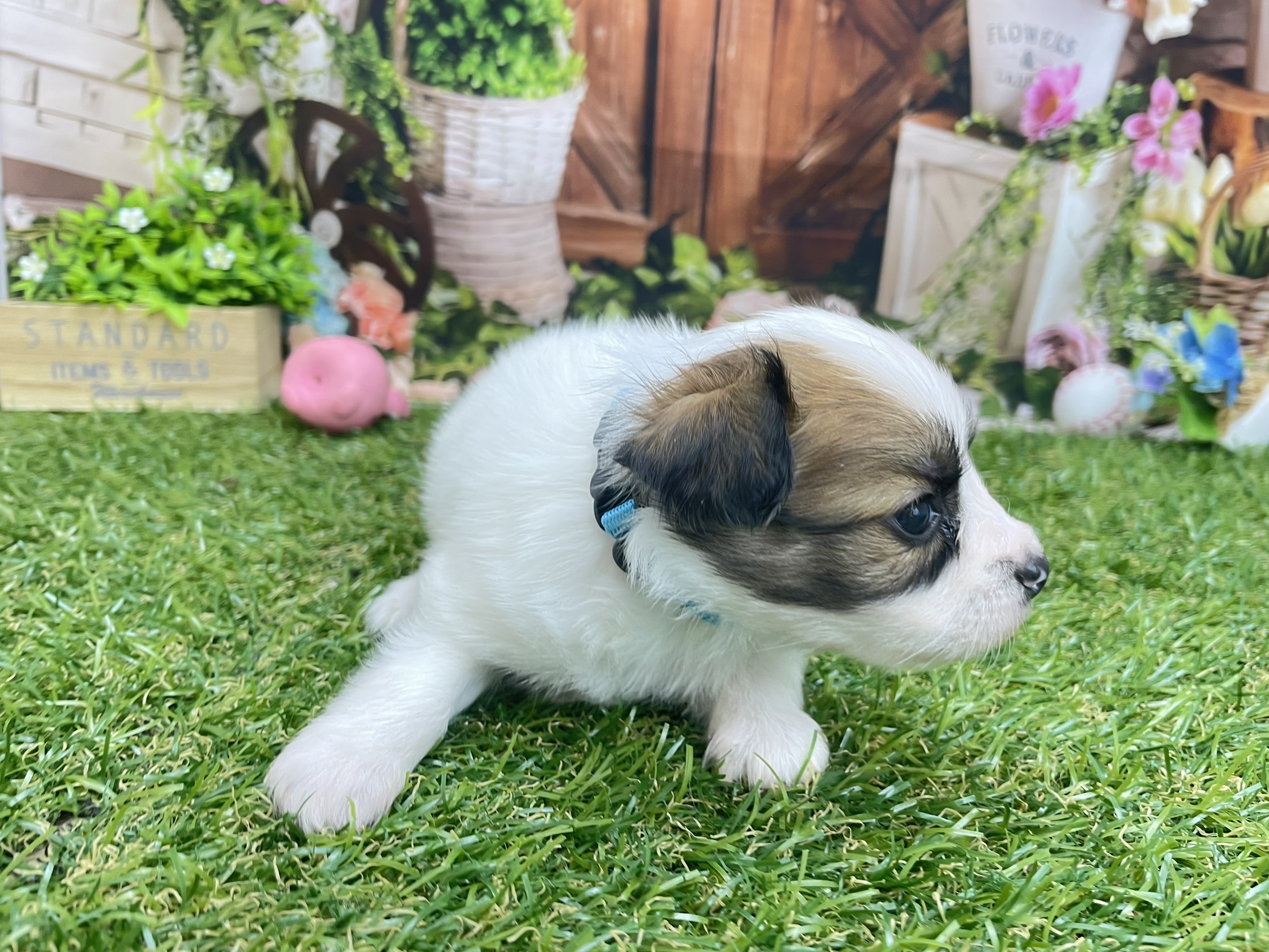 赤ちゃん写真2-2