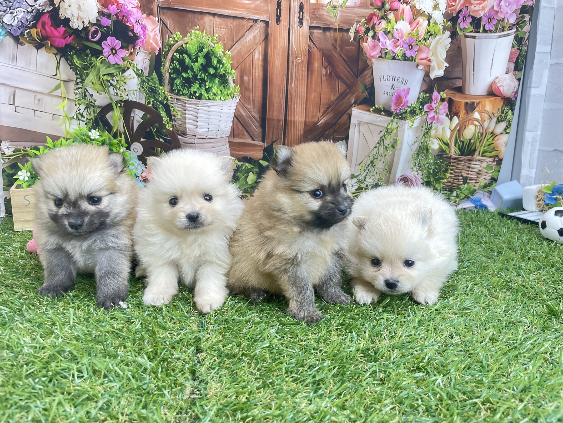 赤ちゃん写真2-3