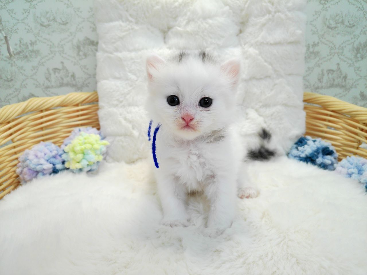 赤ちゃん写真1-1