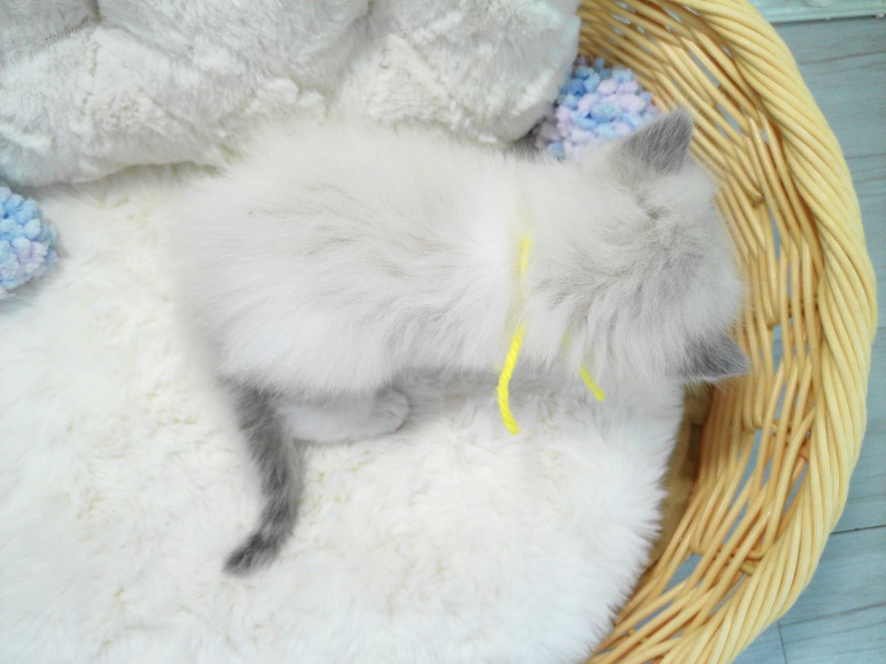 赤ちゃん写真1-3