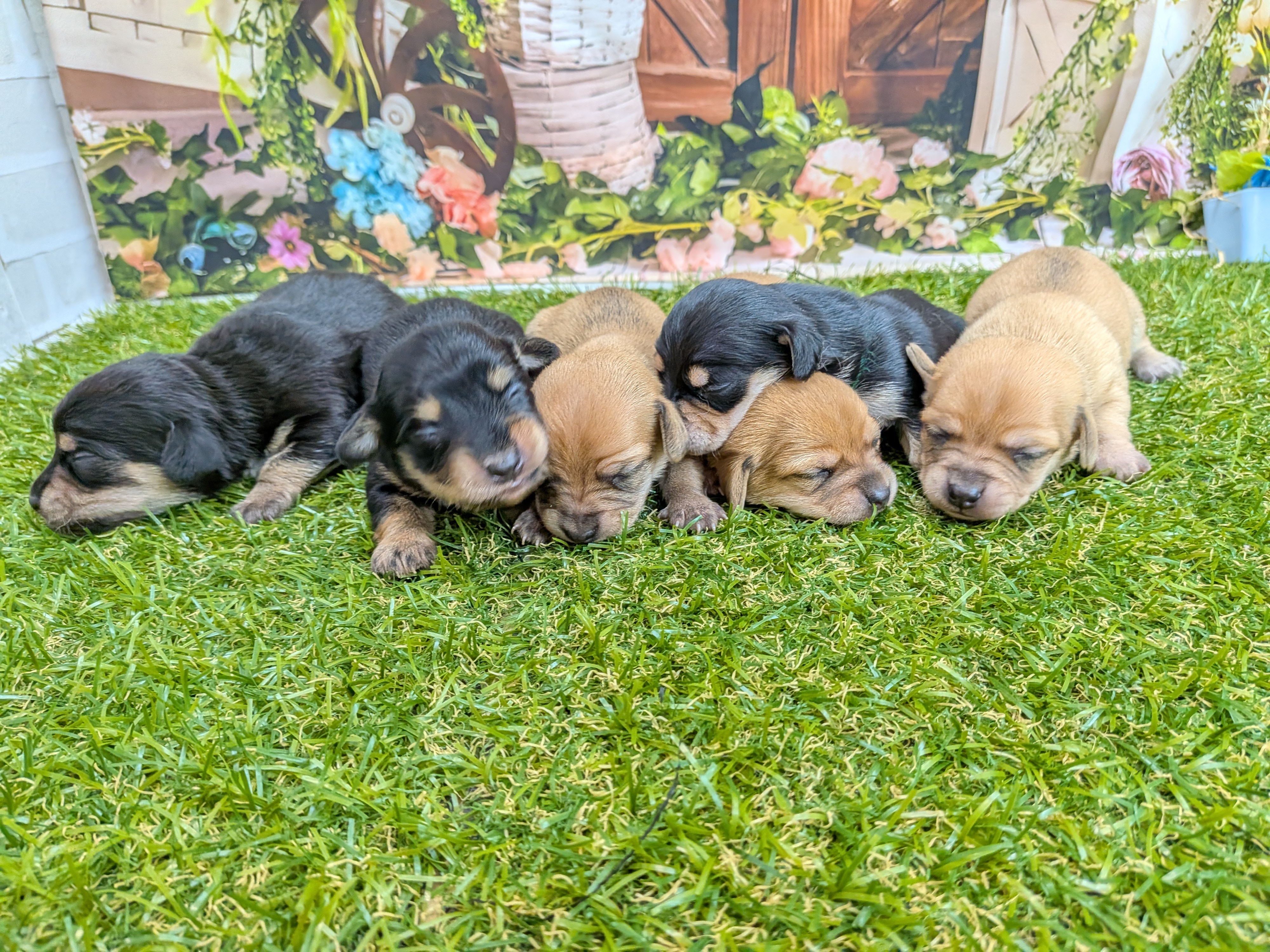 赤ちゃん写真1-3